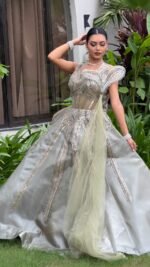 Heavy fancy gown pista color - Image 4