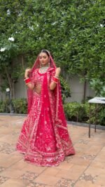 Heavy Embroidery work lehnga with blouse - Image 2