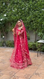 Heavy Embroidery work lehnga with blouse - Image 4